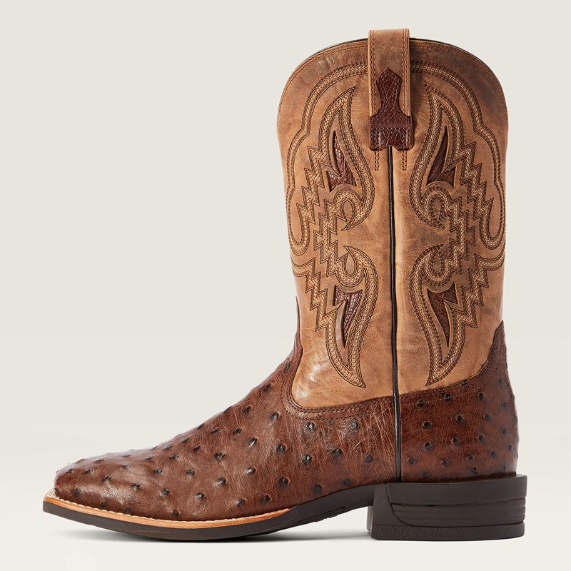 Ariat Dagger Western Boot Ciemny Polska | TDIRNU-324