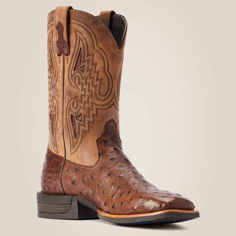 Ariat Dagger Western Boot Ciemny Polska | TDIRNU-324