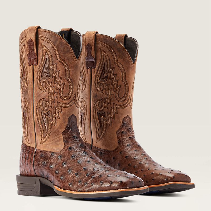 Ariat Dagger Western Boot Ciemny Polska | TDIRNU-324