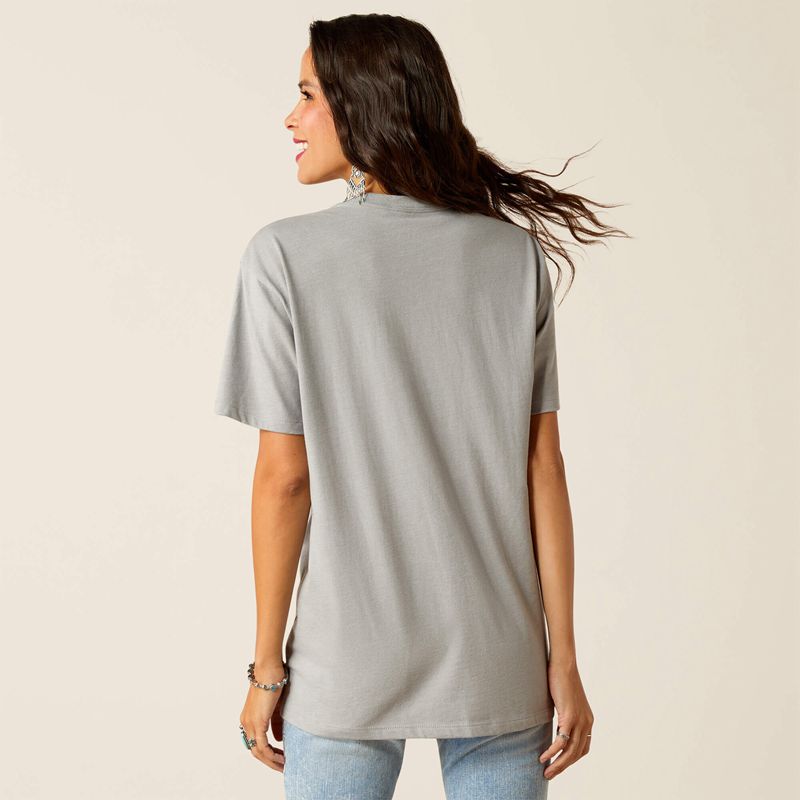 Ariat Day And Night T-Shirt Stone Heather Polska | ZVKCHQ-419