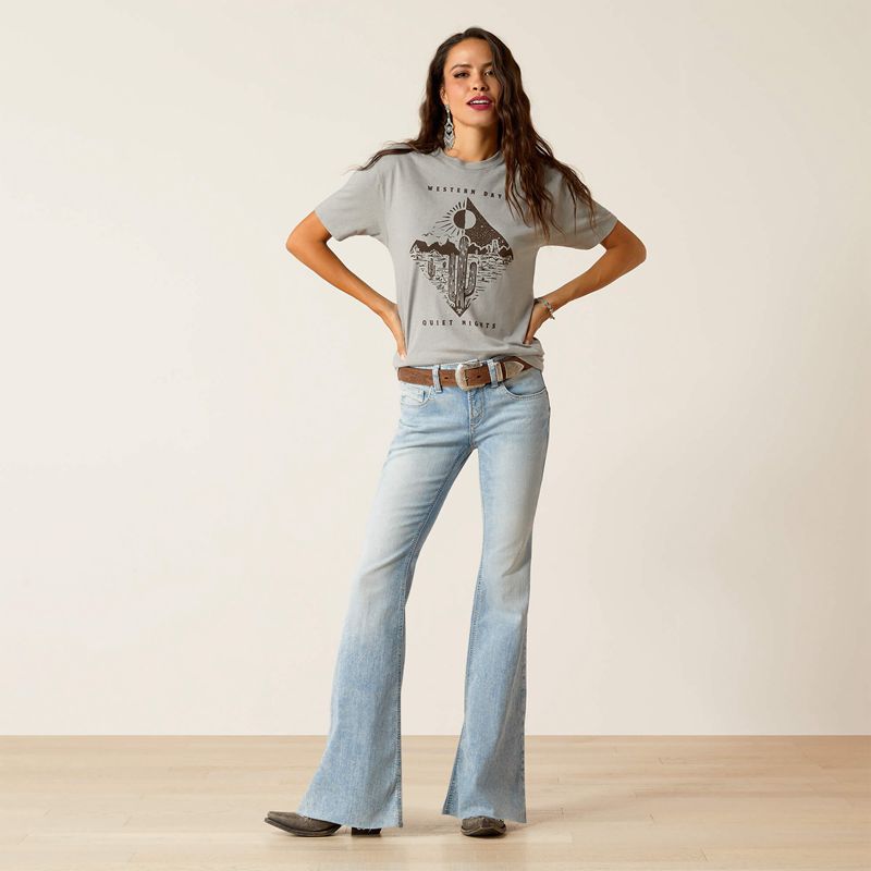 Ariat Day And Night T-Shirt Stone Heather Polska | ZVKCHQ-419