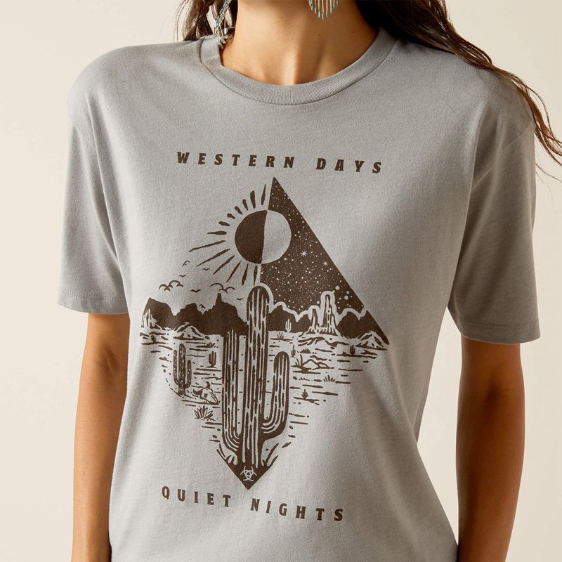 Ariat Day And Night T-Shirt Stone Heather Polska | ZVKCHQ-419