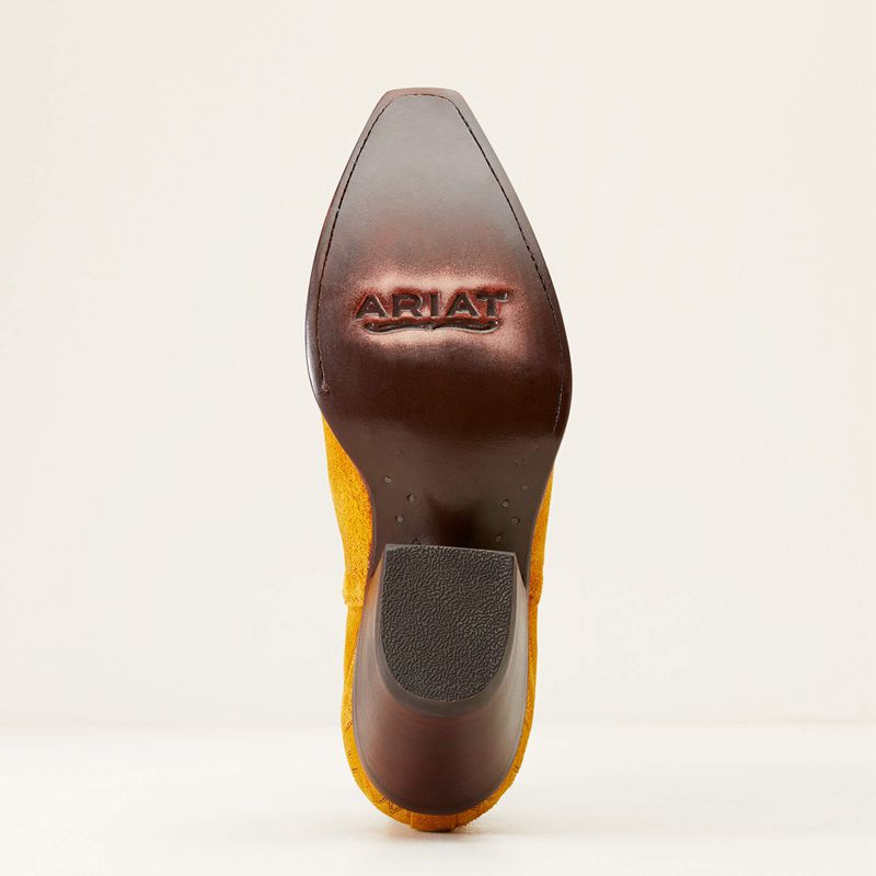 Ariat Dixon Bootie Gilded Suede Polska | CUYAKR-508