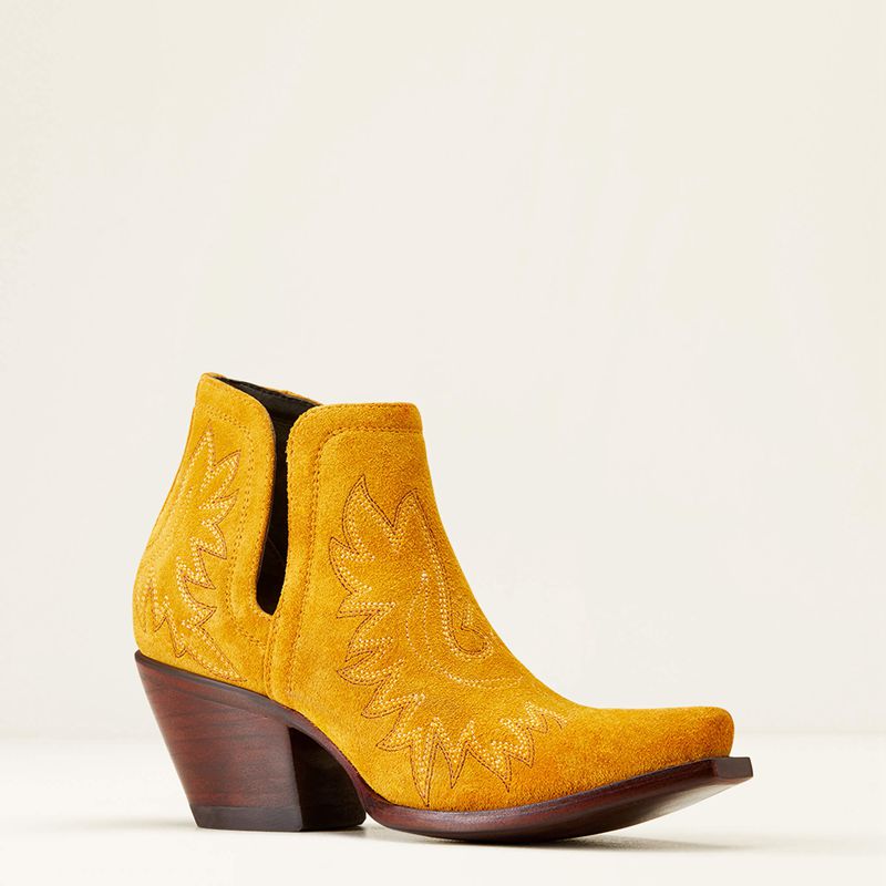 Ariat Dixon Bootie Gilded Suede Polska | CUYAKR-508