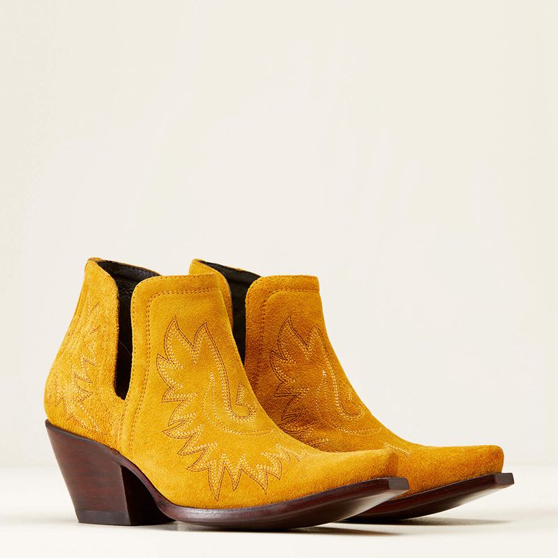 Ariat Dixon Bootie Gilded Suede Polska | CUYAKR-508