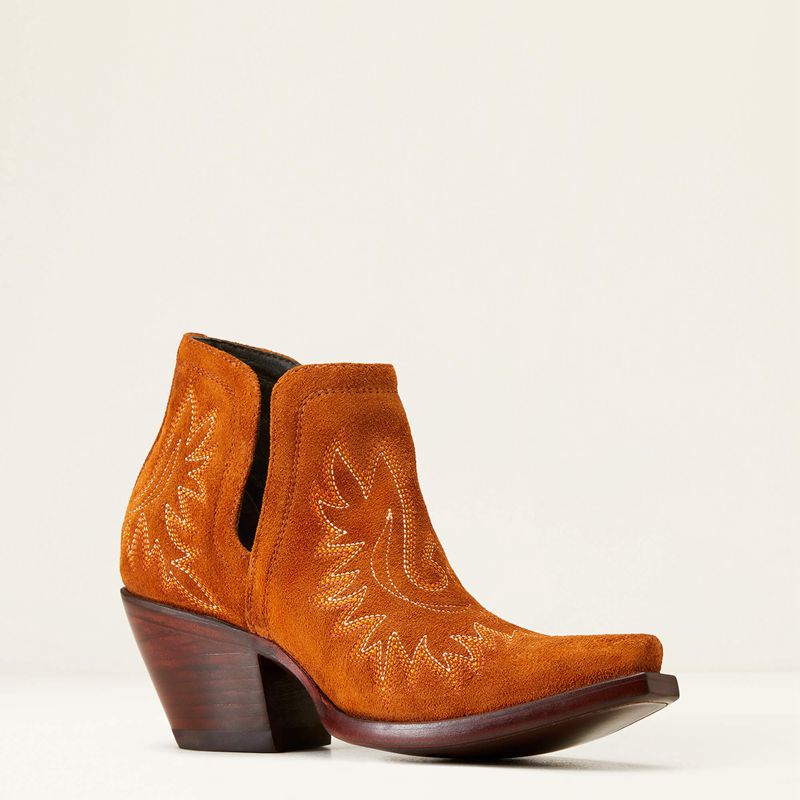 Ariat Dixon Bootie Penny Suede Polska | LRTDXC-795