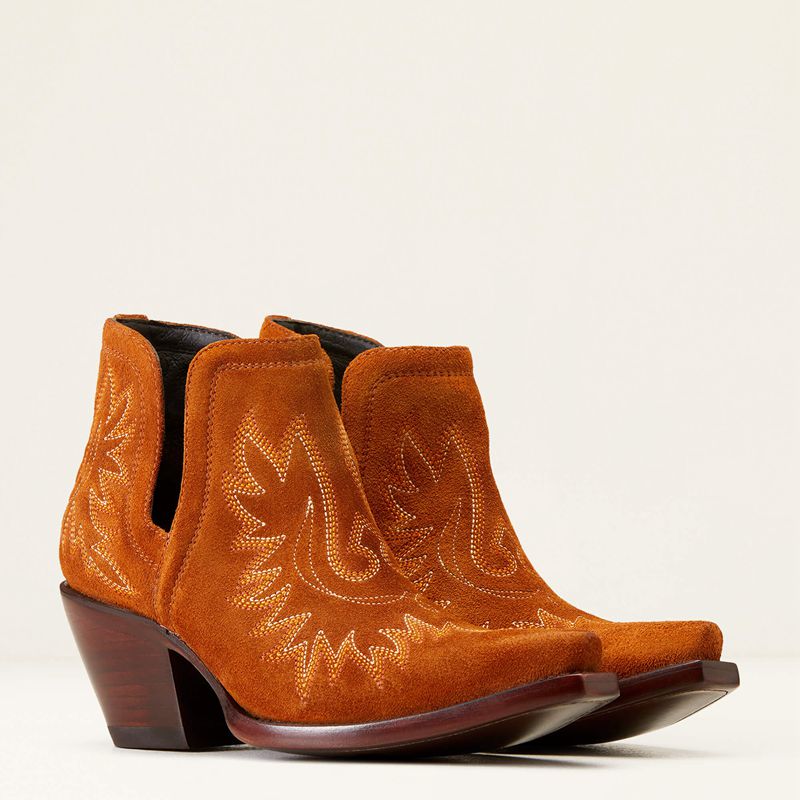 Ariat Dixon Bootie Penny Suede Polska | LRTDXC-795