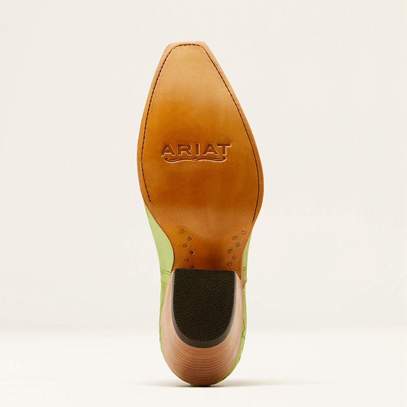 Ariat Dixon Bootie Zielone Polska | WDICGJ-860