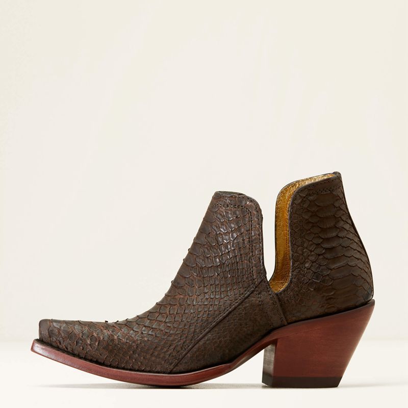 Ariat Dixon Python Western Boot Czekolada Polska | FXLYIO-593