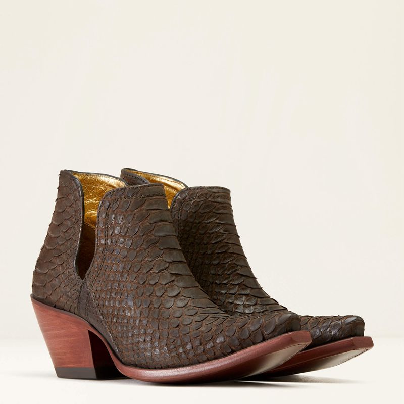 Ariat Dixon Python Western Boot Czekolada Polska | FXLYIO-593