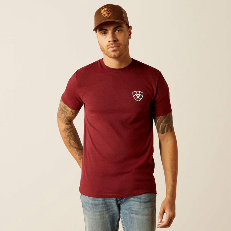 Ariat Eagle And Snake T-Shirt Czarne Polska | QNKBME-613