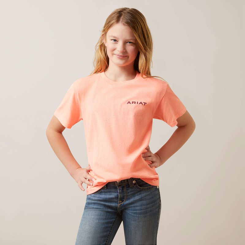 Ariat Gila River Tee Neon Peach Heather Polska | XZFMES-429