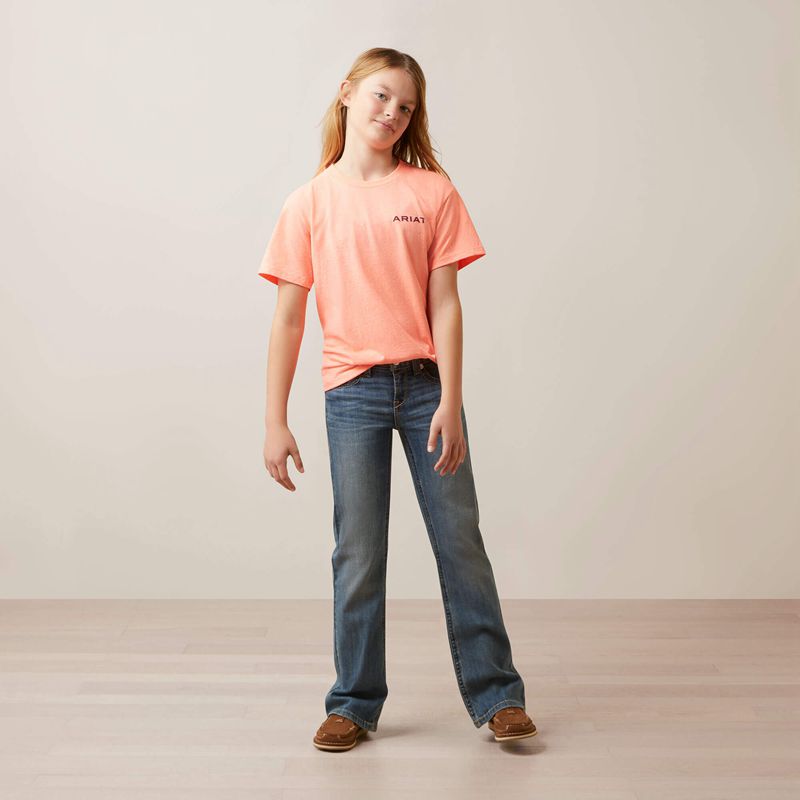 Ariat Gila River Tee Neon Peach Heather Polska | XZFMES-429