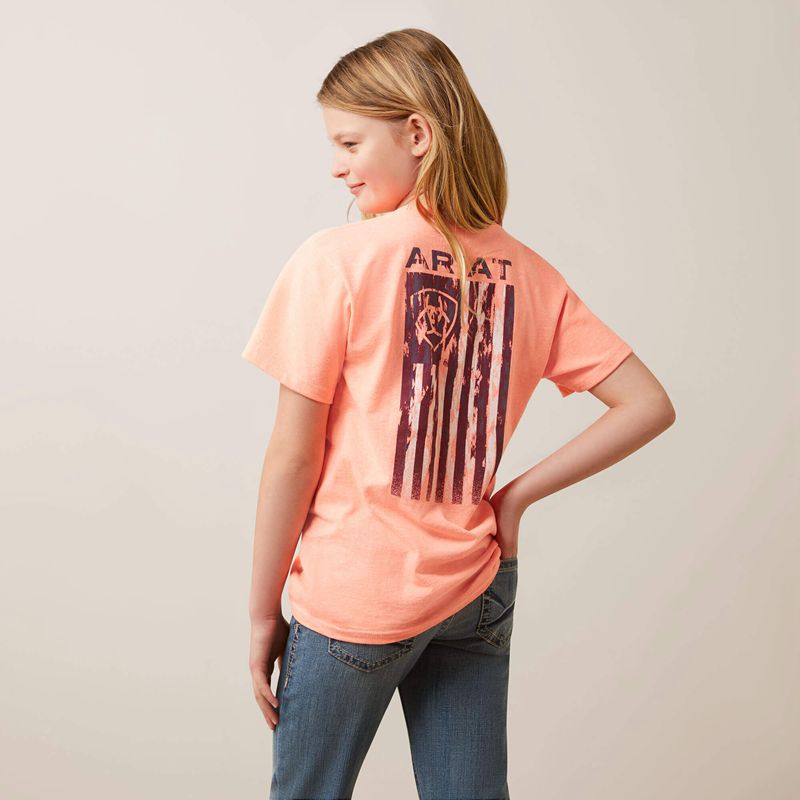 Ariat Gila River Tee Neon Peach Heather Polska | XZFMES-429