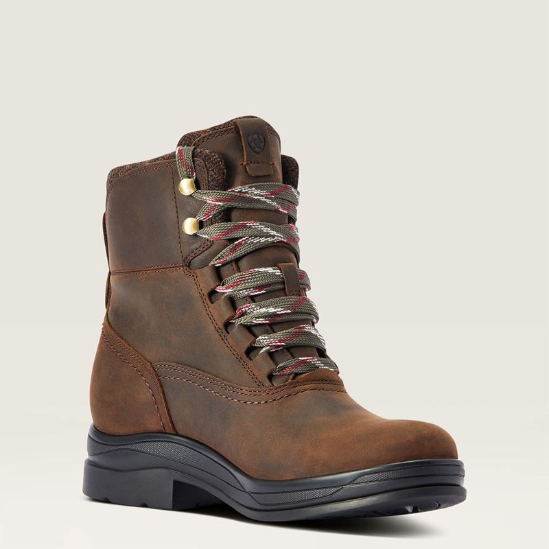 Ariat Harper Waterproof Boot Czekolada Polska | GQCYFS-564