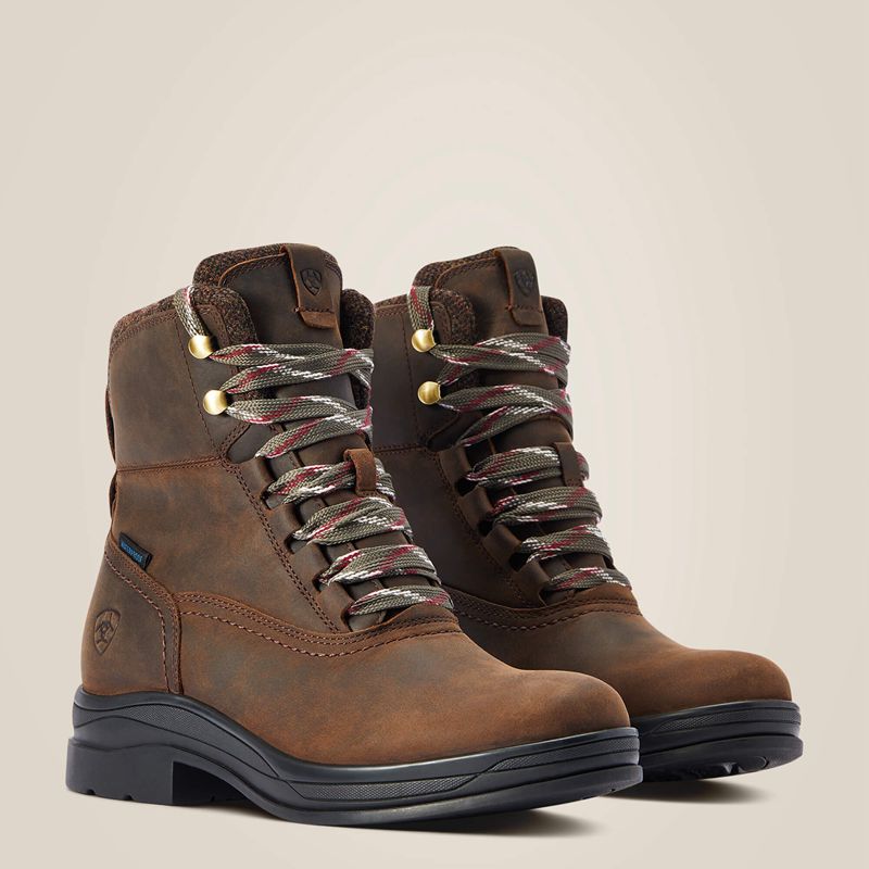 Ariat Harper Waterproof Boot Czekolada Polska | GQCYFS-564