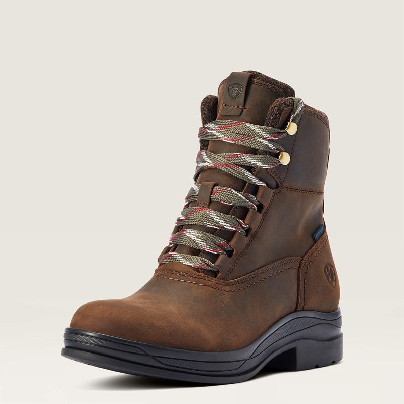 Ariat Harper Waterproof Boot Czekolada Polska | GQCYFS-564