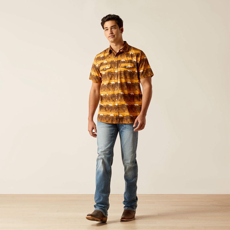 Ariat Heath Retro Fit Shirt Mink Polska | TMEOQD-825