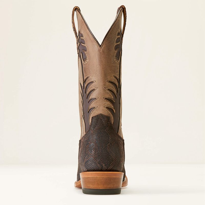 Ariat High Stepper Sendero Western Boot Czekolada Wąż Polska | KSGYNC-768