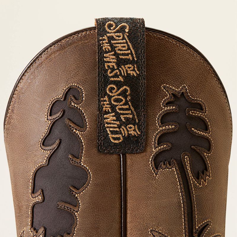 Ariat High Stepper Sendero Western Boot Czekolada Wąż Polska | KSGYNC-768