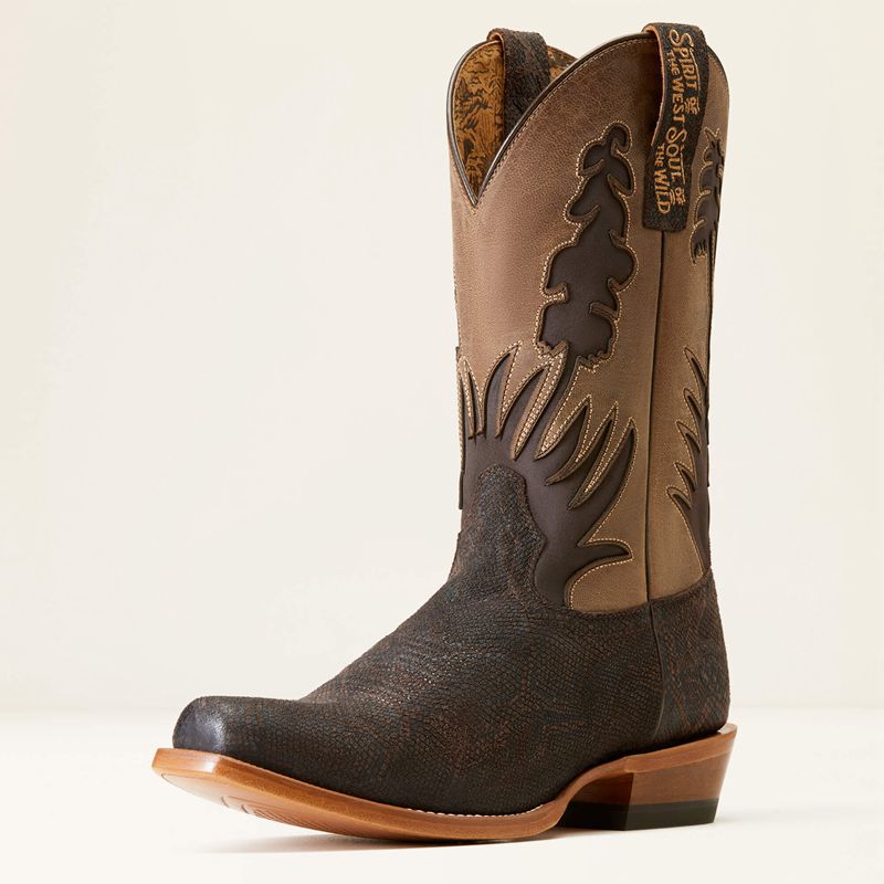 Ariat High Stepper Sendero Western Boot Czekolada Wąż Polska | KSGYNC-768