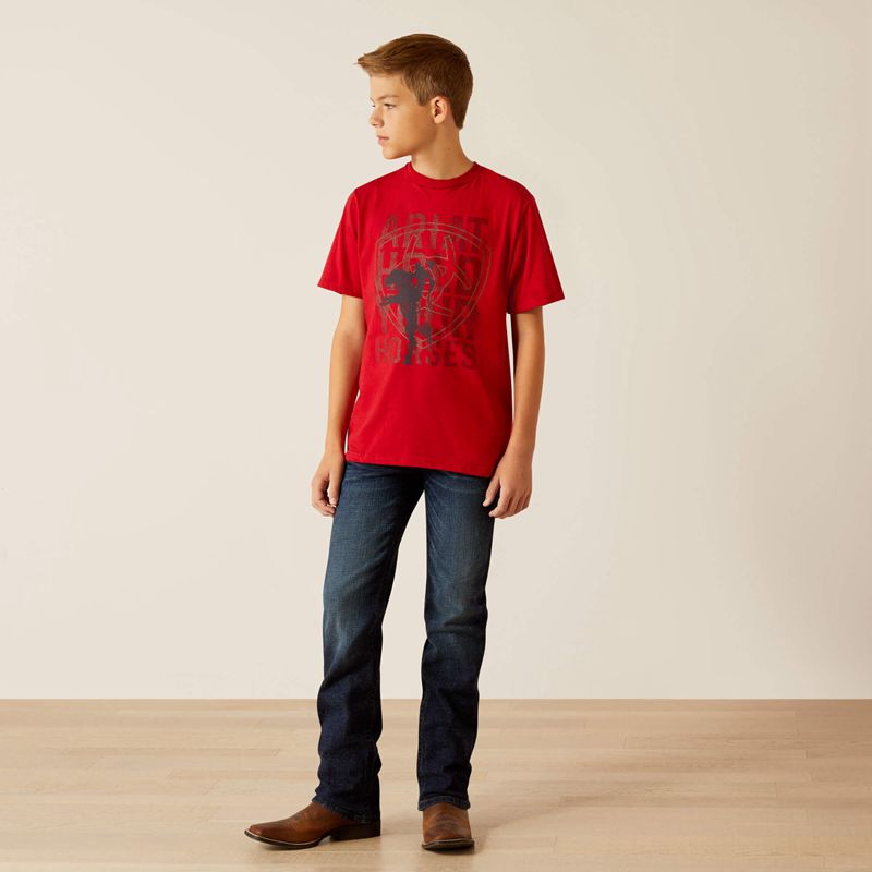 Ariat Hold Your Horses T-Shirt Czerwone Polska | TLDQIZ-749