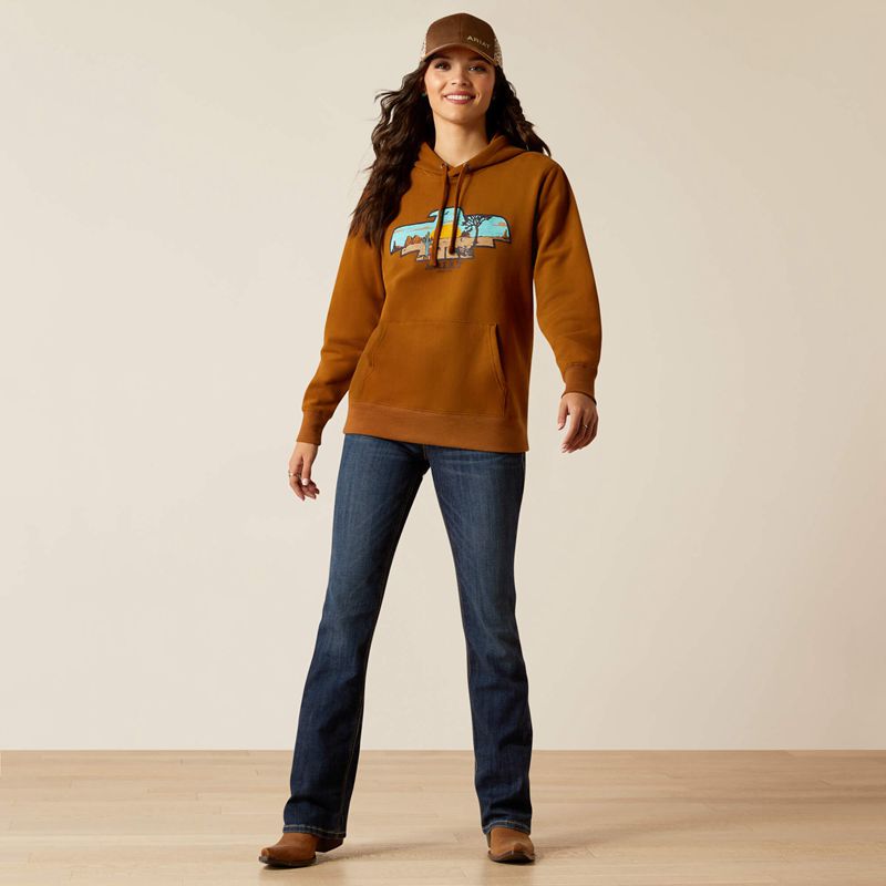 Ariat Horizon Hoodie Chestnut Horse Polska | LMTVHG-461