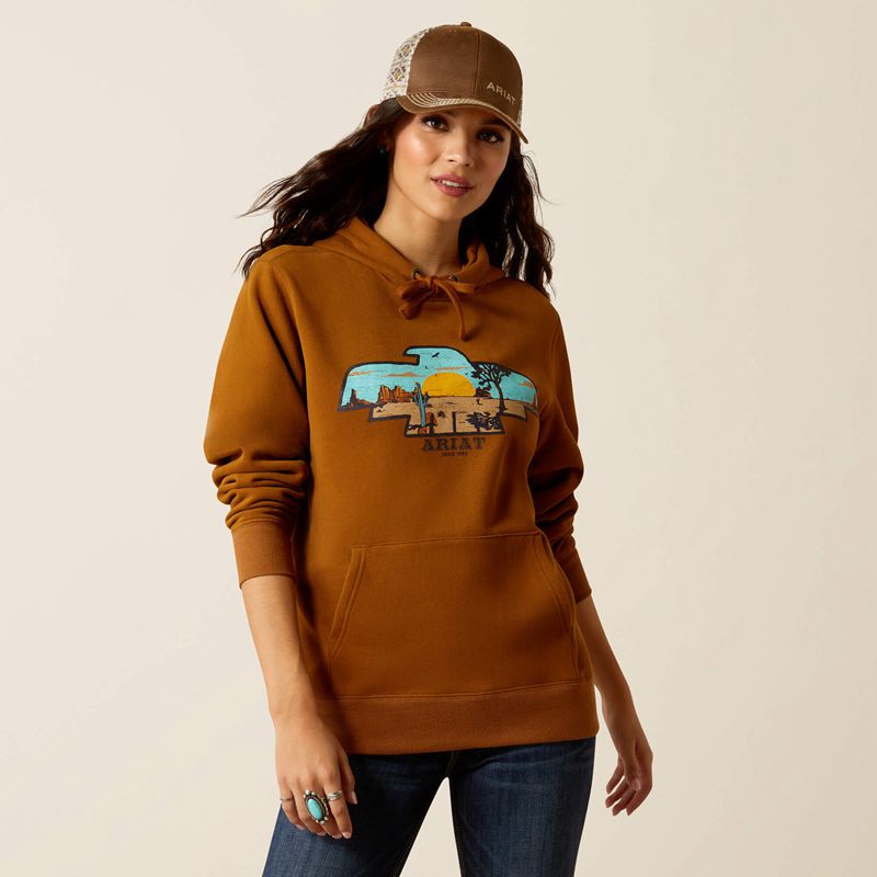 Ariat Horizon Hoodie Chestnut Horse Polska | LMTVHG-461