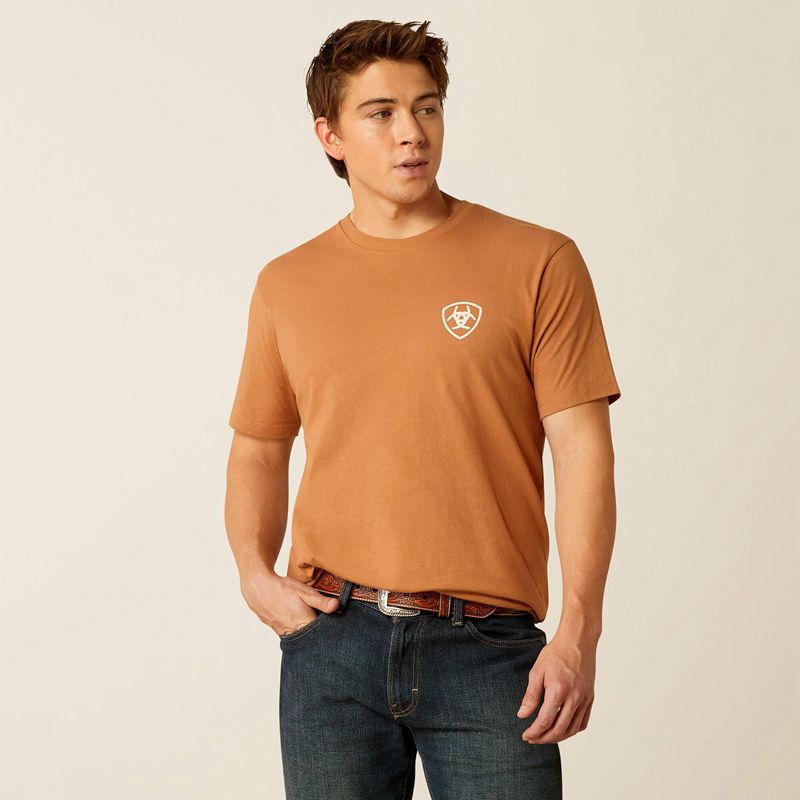 Ariat Horizon Oasis T-Shirt Chipmunk Polska | YMBCUO-278