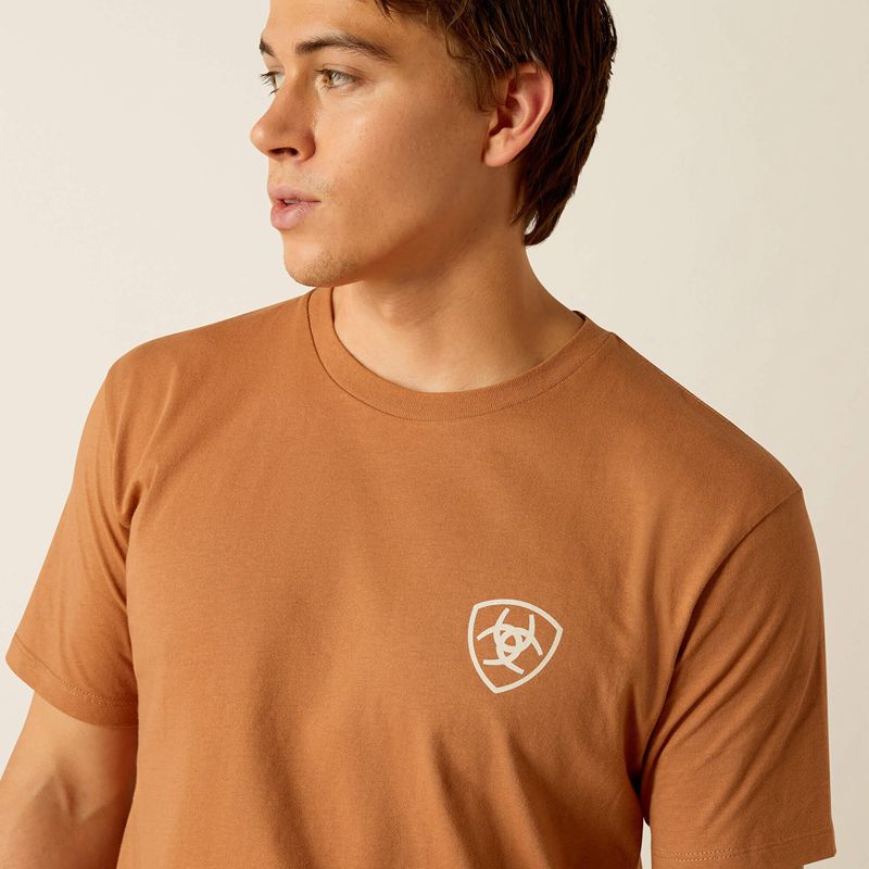 Ariat Horizon Oasis T-Shirt Chipmunk Polska | YMBCUO-278