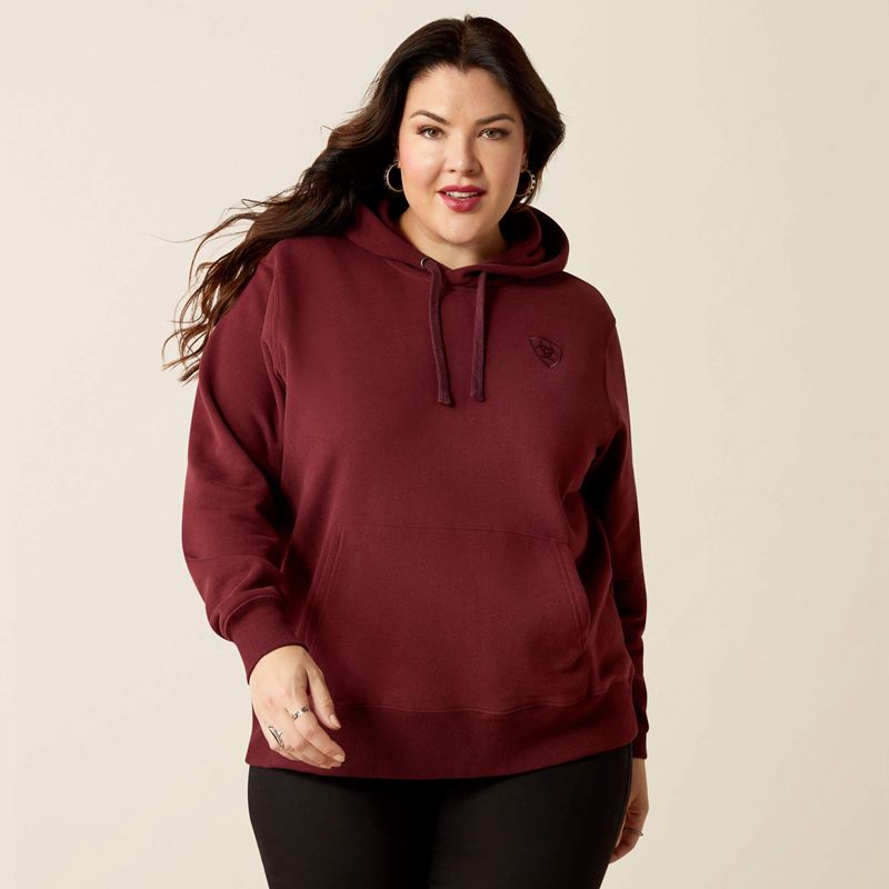 Ariat Logo 2.0 Hoodie Tawny Port Polska | YUSLAX-815