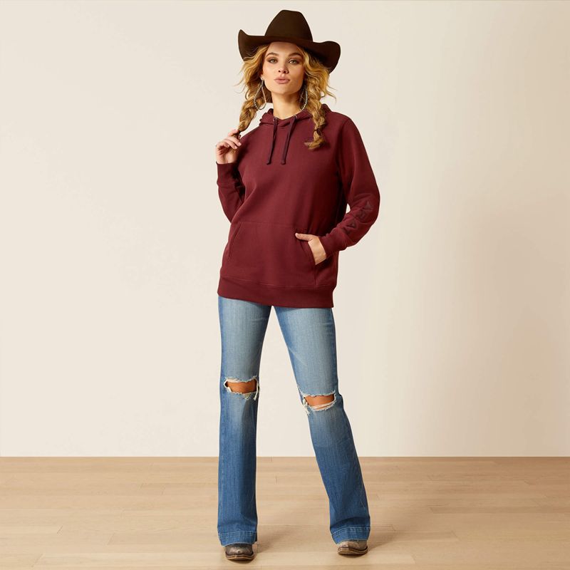 Ariat Logo 2.0 Hoodie Tawny Port Polska | YUSLAX-815