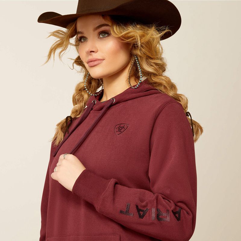 Ariat Logo 2.0 Hoodie Tawny Port Polska | YUSLAX-815