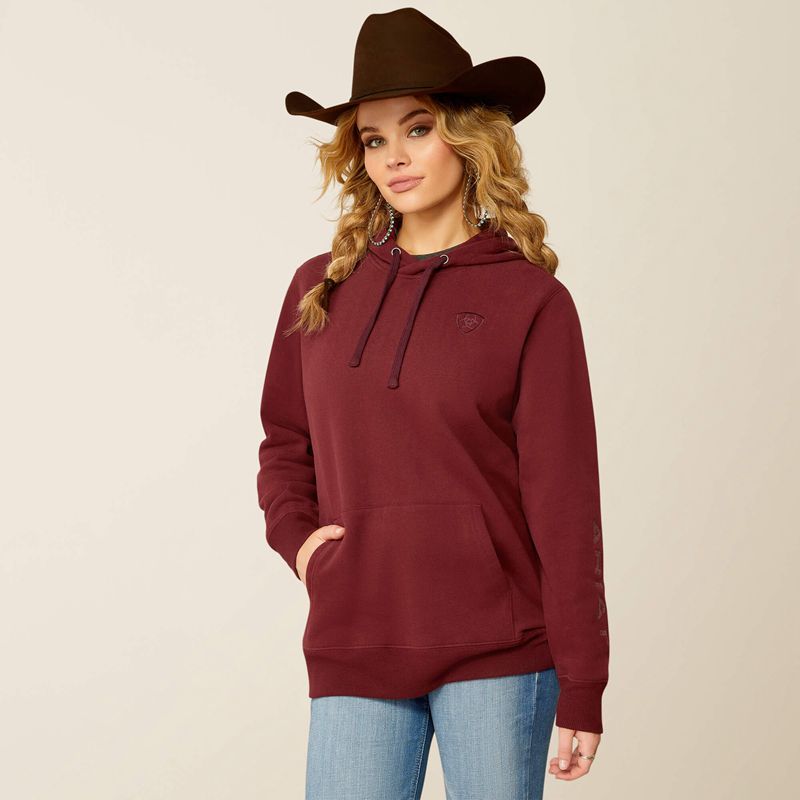 Ariat Logo 2.0 Hoodie Tawny Port Polska | YUSLAX-815