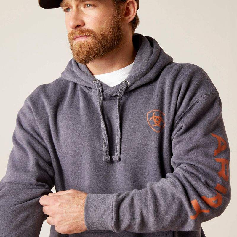 Ariat Logo Hoodie Odyssey Gray Heather Polska | DOYVIK-231