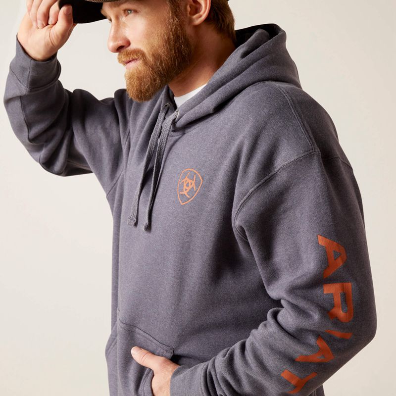 Ariat Logo Hoodie Odyssey Gray Heather Polska | DOYVIK-231