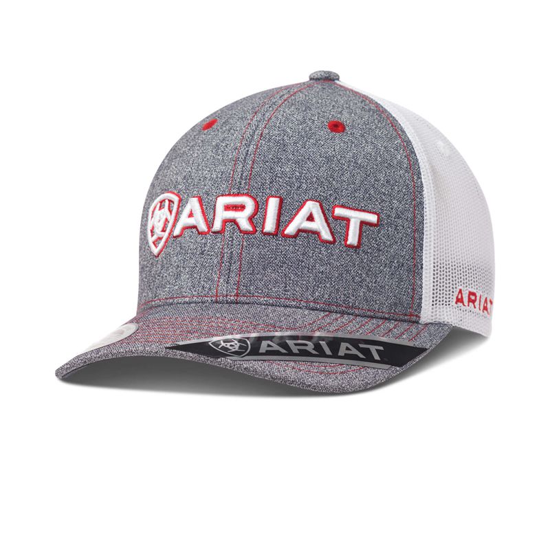 Ariat Logo Mesh Snapback Gray Polska | PWYDNM-647