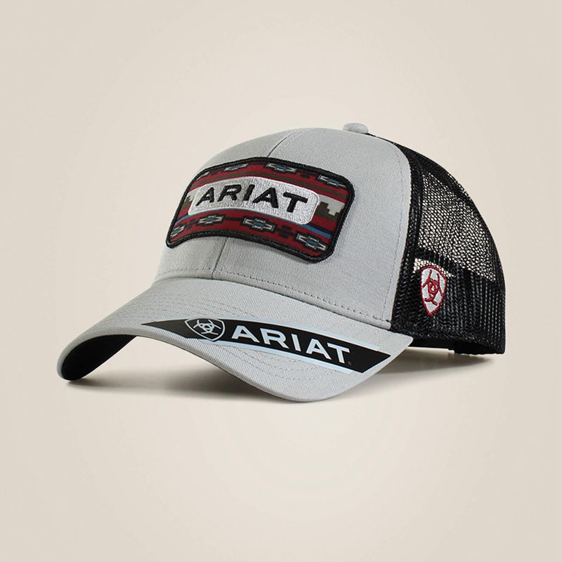 Ariat Logo Patch Cap Gry/Multi Gray Polska | RVSOCP-847