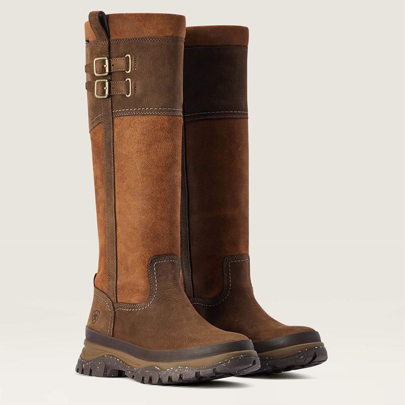 Ariat Moresby Tall Waterproof Java Polska | BLENYS-432