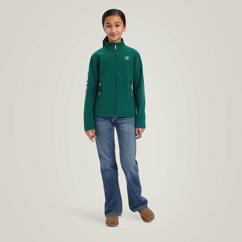 Ariat New Team Softshell Mexico Jacket Verde Polska | ZSQMPF-287