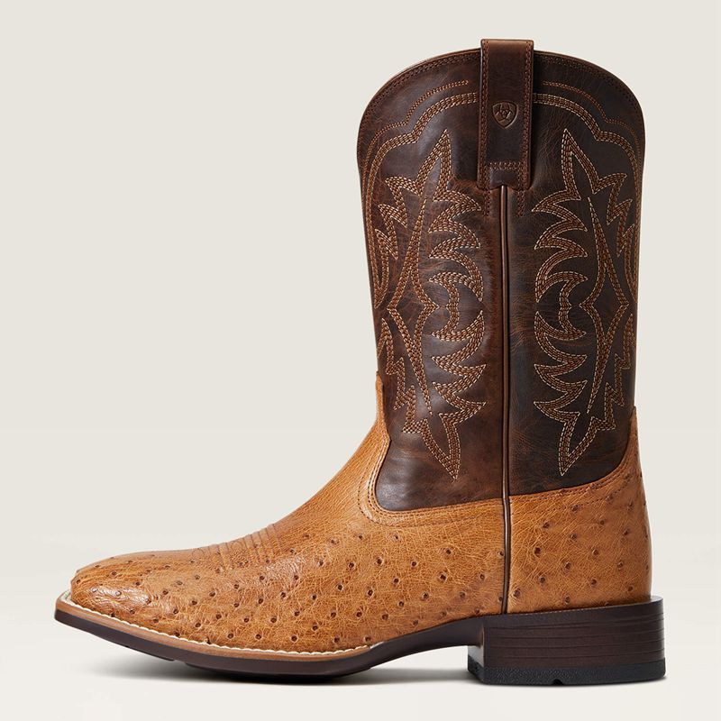 Ariat Night Life Ultra Western Boot Ranger Smooth Quill Ostrich Polska | WXUBNY-271