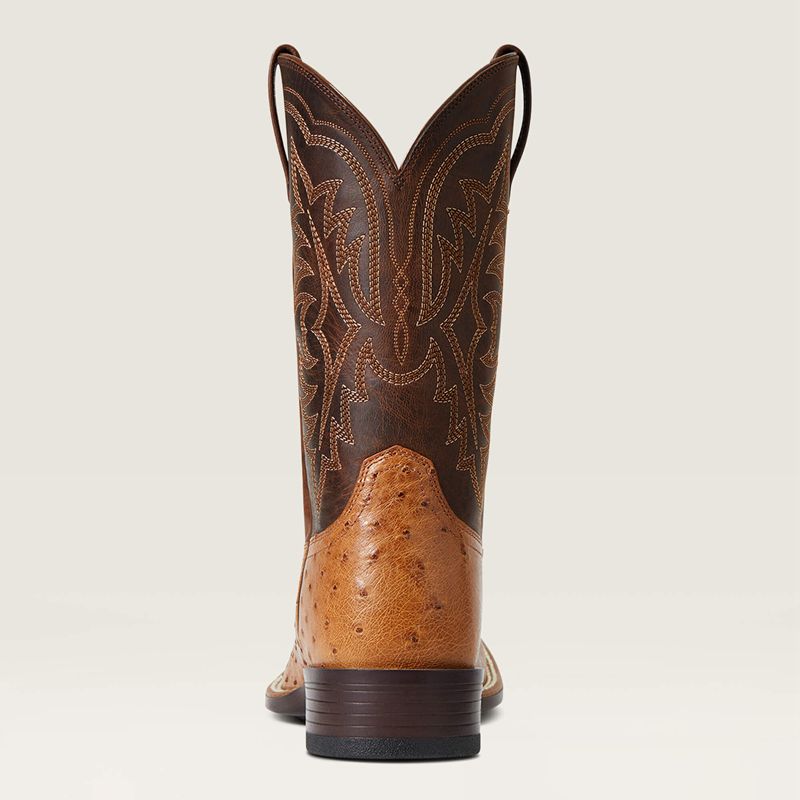 Ariat Night Life Ultra Western Boot Ranger Smooth Quill Ostrich Polska | WXUBNY-271