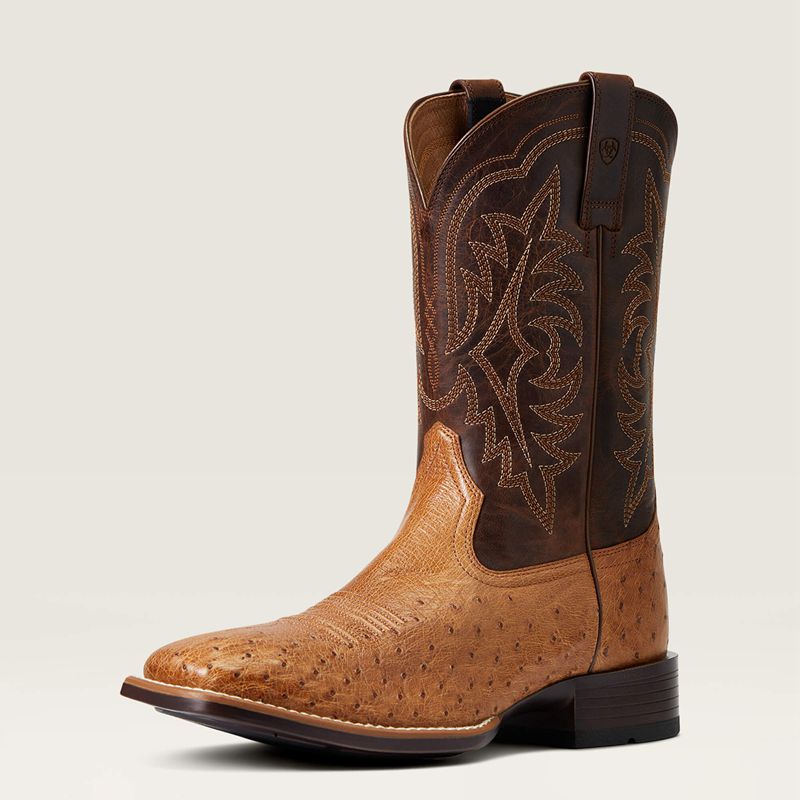 Ariat Night Life Ultra Western Boot Ranger Smooth Quill Ostrich Polska | WXUBNY-271