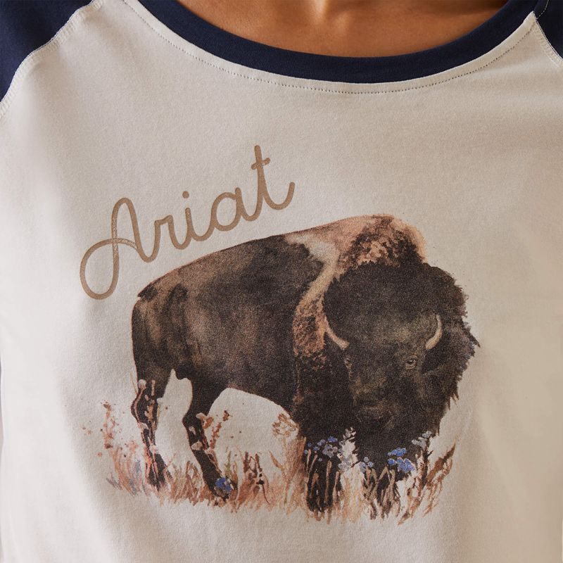 Ariat Painted Dreams T-Shirt Coconut Milk/Navy Polska | AUXZTC-435