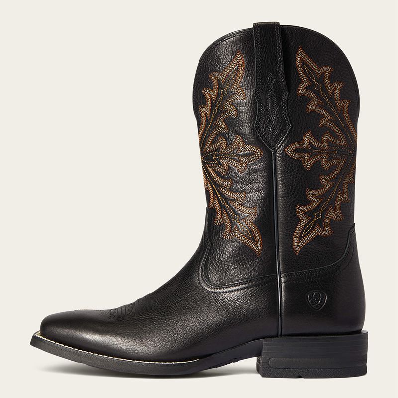 Ariat Qualifier Western Boot Night Sky Polska | QKXUPG-971