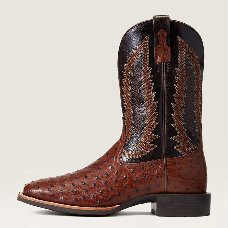 Ariat Quantum Primo Western Boot Antique Tabac Fq Ostrich Polska | SXVFLY-620