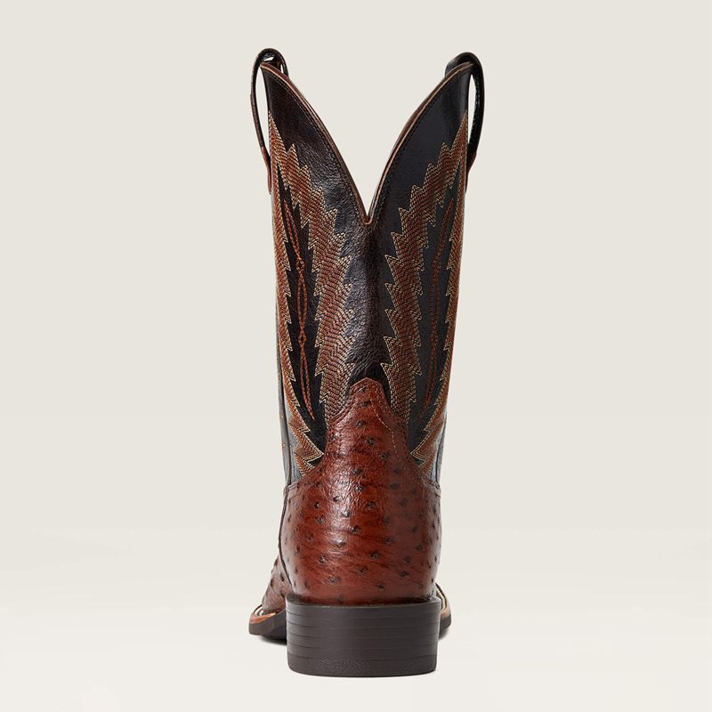 Ariat Quantum Primo Western Boot Antique Tabac Fq Ostrich Polska | SXVFLY-620