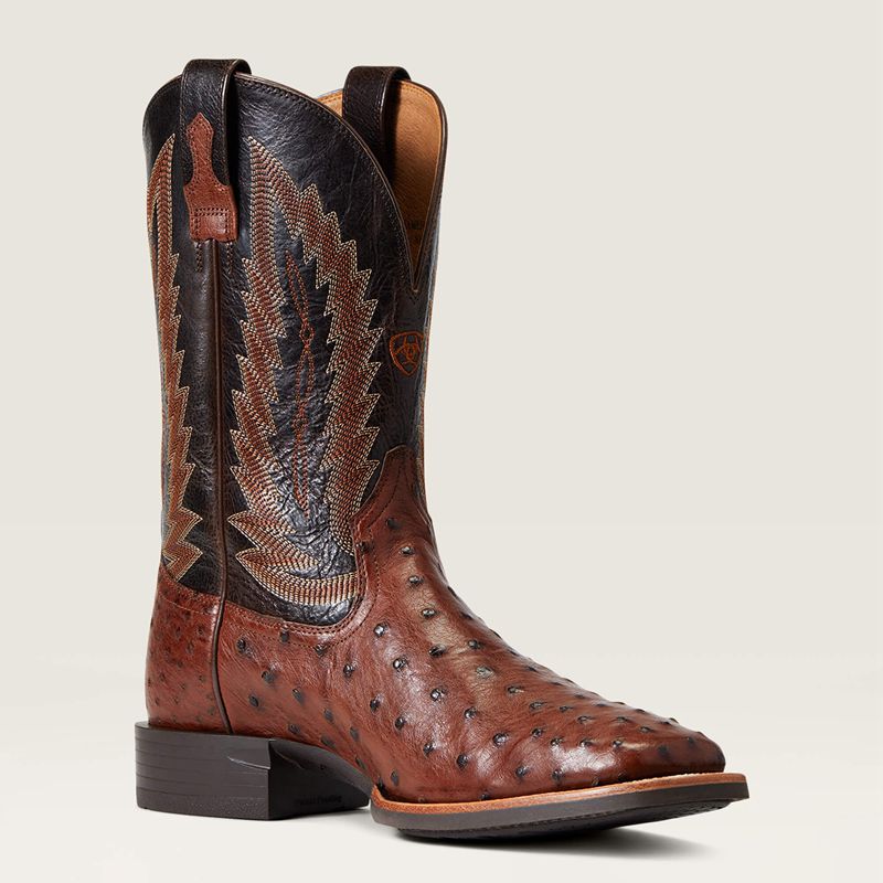 Ariat Quantum Primo Western Boot Antique Tabac Fq Ostrich Polska | SXVFLY-620