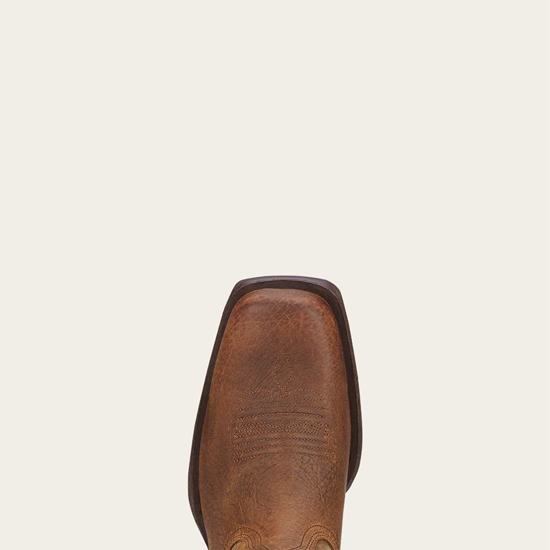 Ariat Rambler Western Boot Earth Polska | REIUOY-270