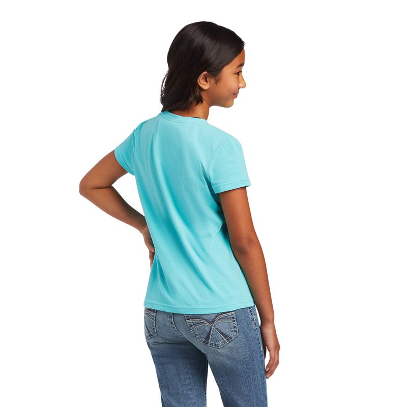 Ariat Real Cactus Tee Amazonite Polska | HUKWOT-659